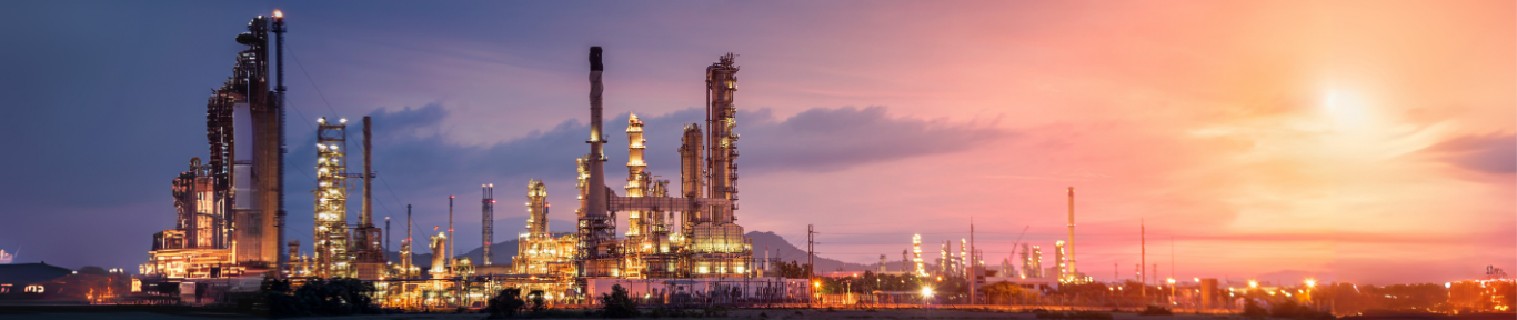 Petroleum coke and Carbon based carbon solution